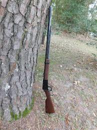 Henry H001TMRP Small Game 