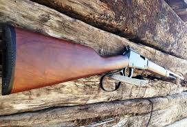 Henry H001TMLP Small Game Carbine