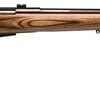 savage model 25 lightweight varminter 223 rifle