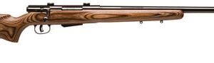 savage model 25 lightweight varminter 223 rifle