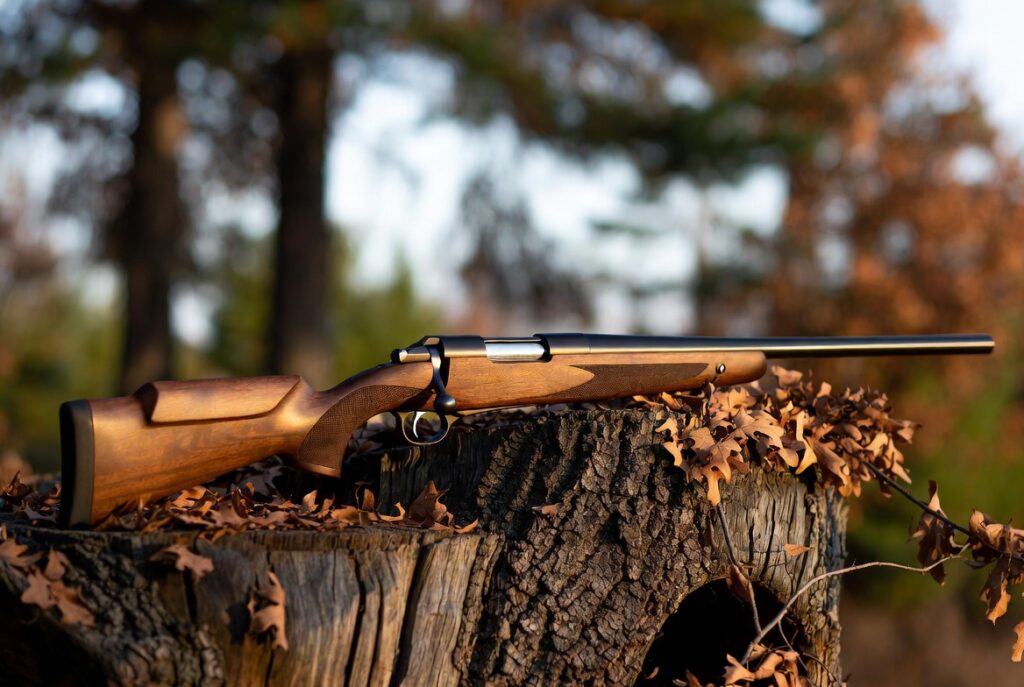 Best Budget Hunting Rifles